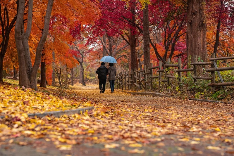 Mindful strolling